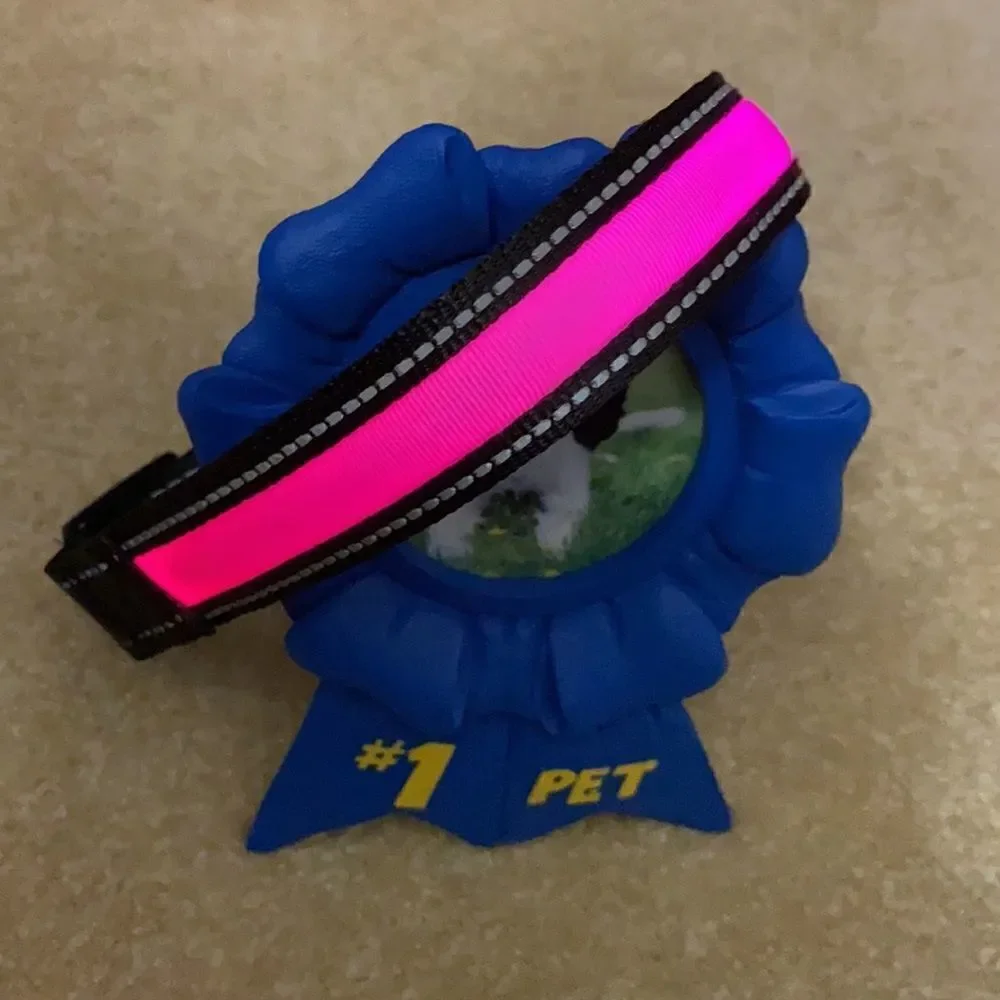 Dog Collar Solar & USB Powered Light Up - L